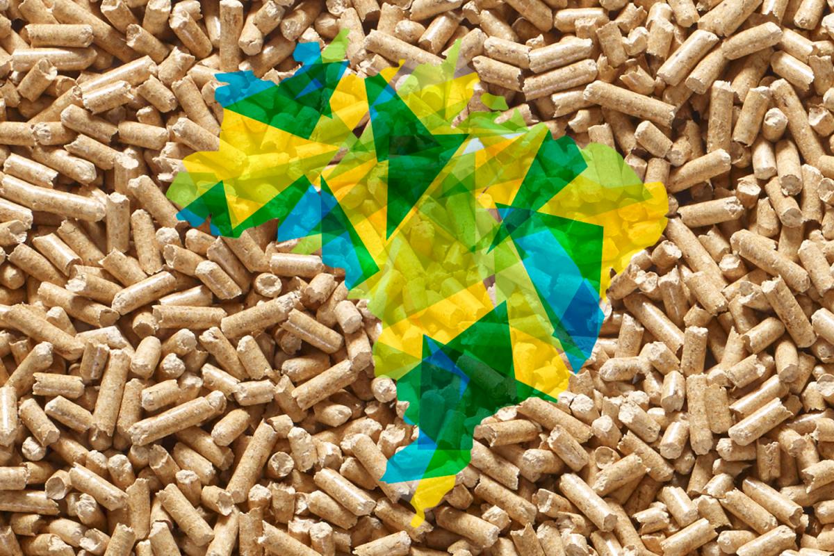 Utilização de Pellets de madeira em países de primeiro mundo e o crescimento do uso deste biocombustível no Brasil