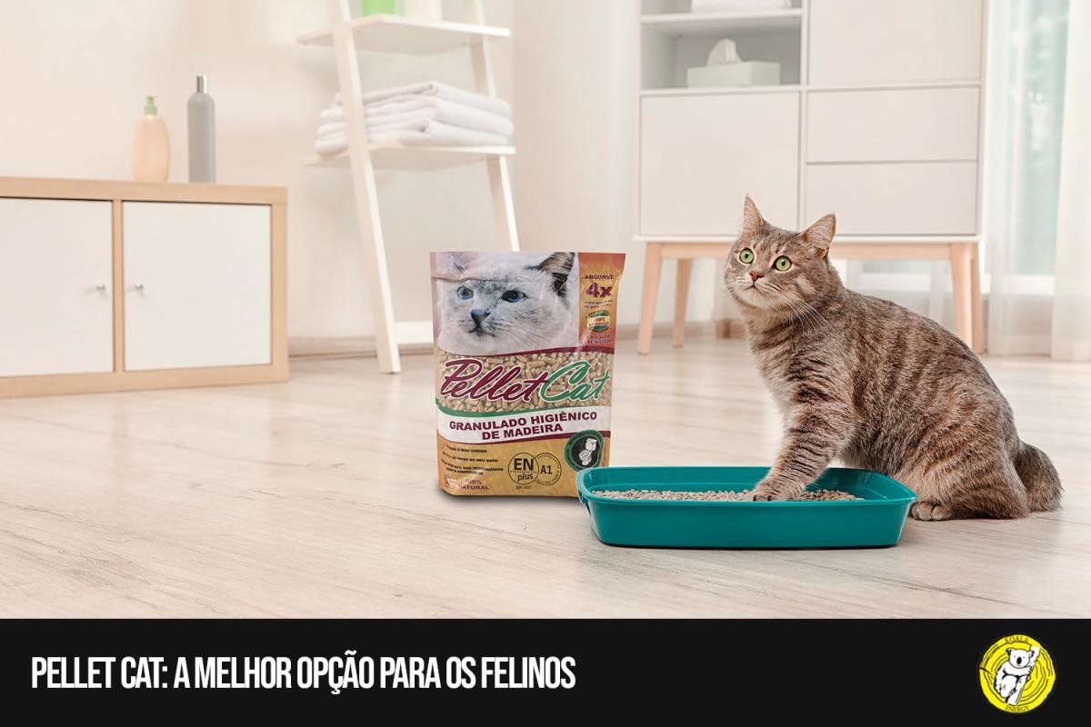 Pellet Cat: a melhor opção para os felinos