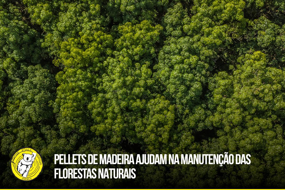 Pellets de madeira ajudam na manutenção das florestas naturais