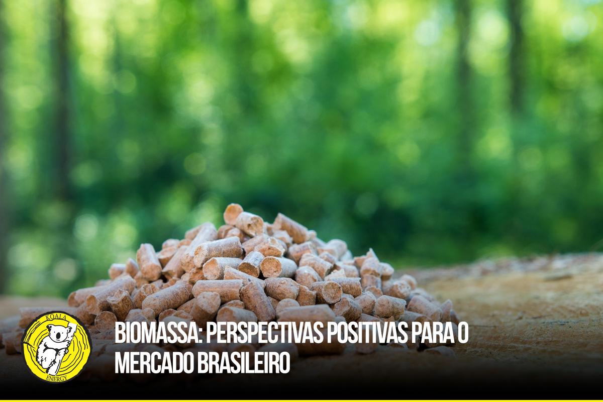 Biomassa: perspectivas positivas para o mercado brasileiro