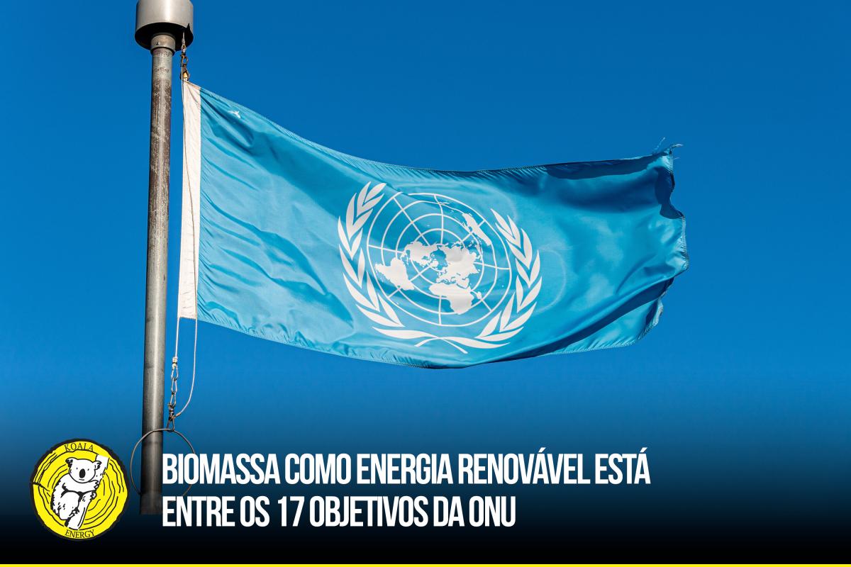 Biomassa como energia renovável está entre os 17 Objetivos da ONU