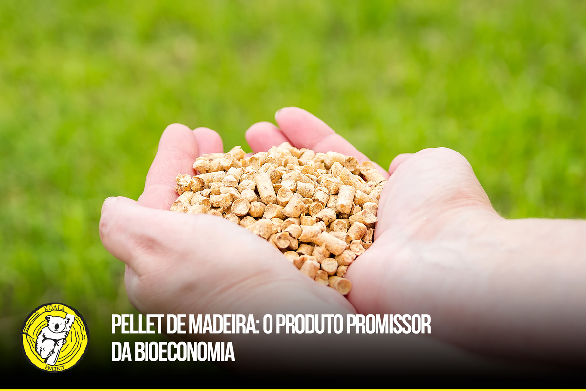 Pellet de madeira: o produto promissor da Bioeconomia 