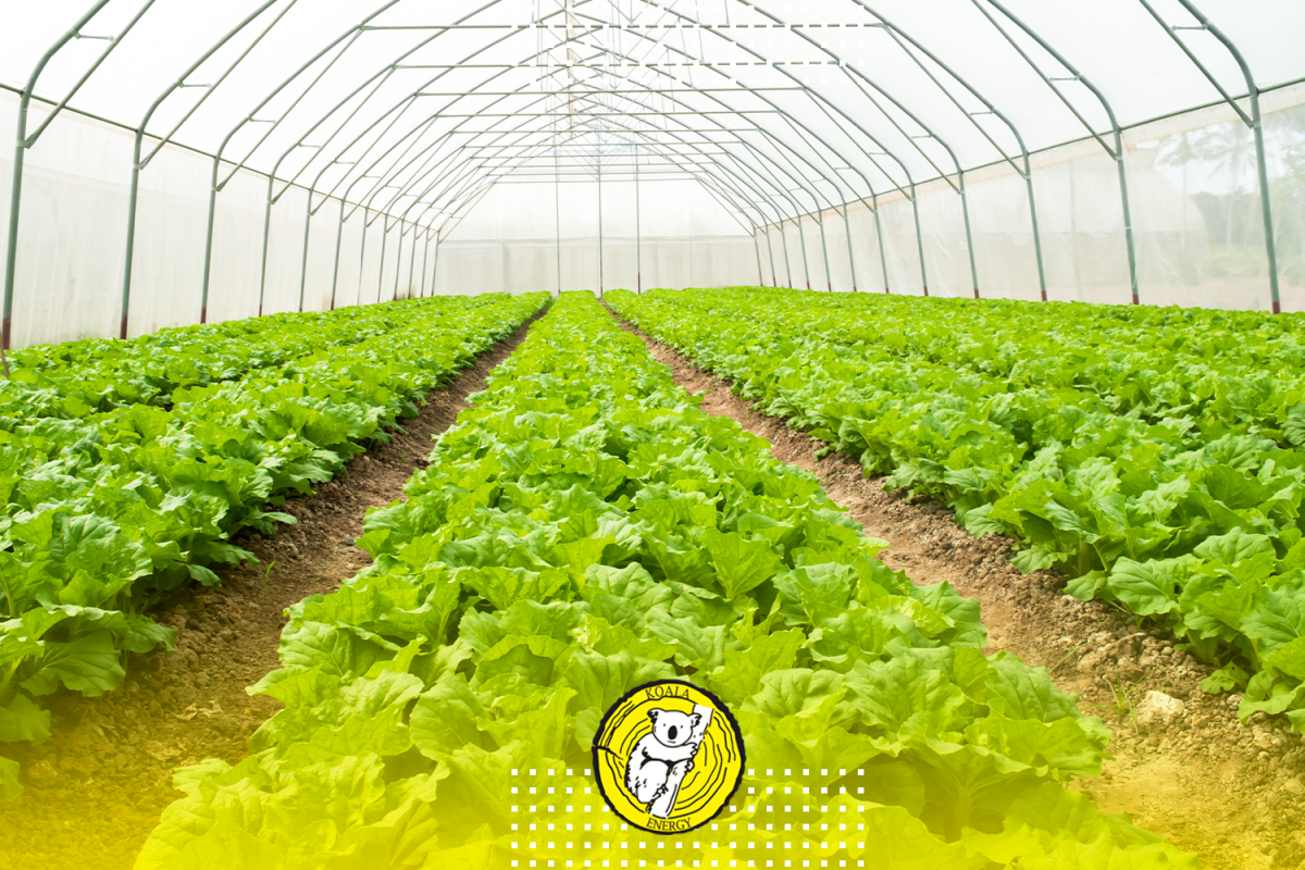 Adquira nossas soluções de aquecimento para agricultura e pesca