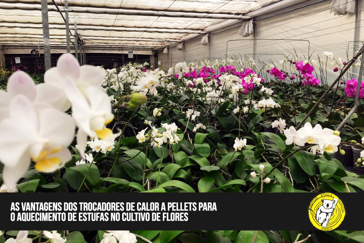 As vantagens dos trocadores de calor a pellet para aquecimento de estufas no cultivo de flores