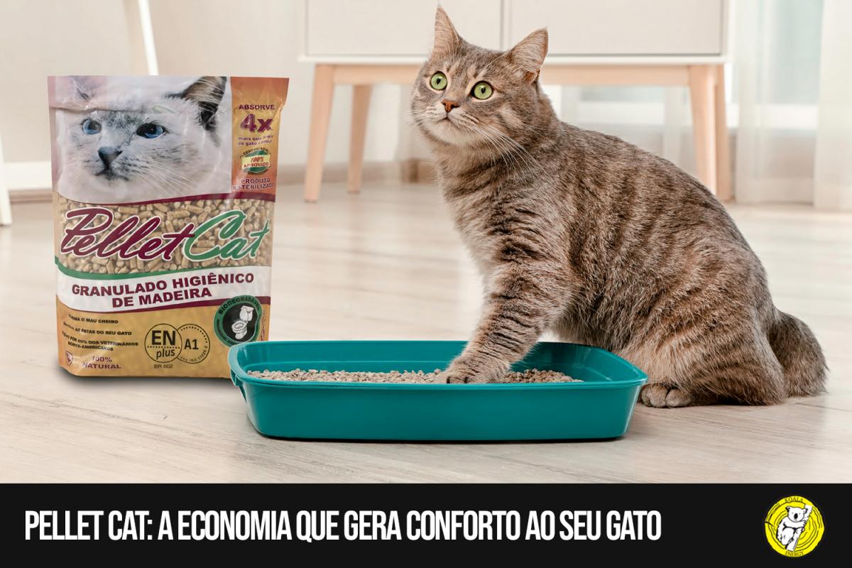 Pellet Cat: a economia que gera conforto ao seu gato
