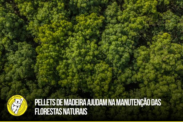 Pellets de madeira ajudam na manutenção das florestas naturais 0