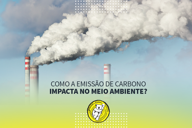 Como a emissão de carbono impacta o meio ambiente? 0
