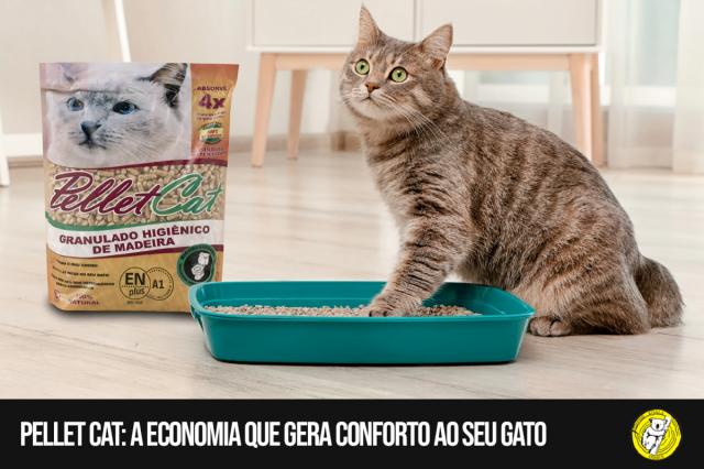 Pellet Cat: a economia que gera conforto ao seu gato 0
